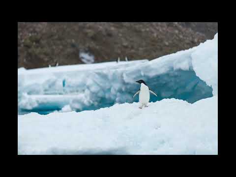 [Music] ジェットペンギン３号 - 騒音のない世界
