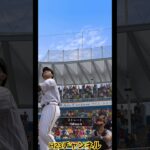 スラッガー試合・編集【H23自チーム】2024Japanese professional baseball app game#プロスピa無課金