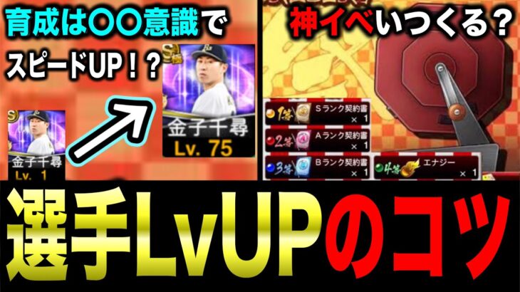 【無課金必見】Lv上げが遅い人は〇〇の無駄遣いが原因かも？現イベ環境で意識できる育成対策4選！【プロスピA】【フォルテ】#781