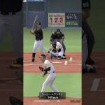 #プロスピa打撃 ロッテ フジワラキョウタ ヒット #プロスピa#ぷろすぴ#パワプロ#野球ゲーム#ゲーム#baseball#gaming#クソ動画制作部#shorts