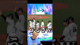 無料なのに強い選手多すぎw覚醒ローテーションチャレンジャー累計開封で神引きなるか⁈【プロ野球スピリッツa】【プロスピA】