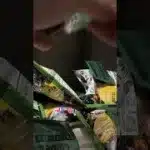 プロスピAチップス攻略動画　#プロスピa  #プロスピ   #shorts