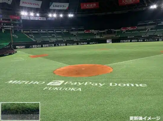 福岡ソフトバンクホークス本拠地にミズノの新人工芝「MS CRAFT BASEBALL TURF」導入！選手を支えるグラウンドで最高の推し活を！