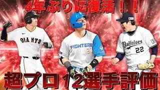プロスピ選手評価(超プロ野球ウルトラプレイヤー)