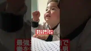 拳を突き上げ続ける男#最強王図鑑#ファイト#幼児#恐竜好き