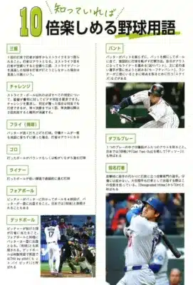 野球用語解説ページ