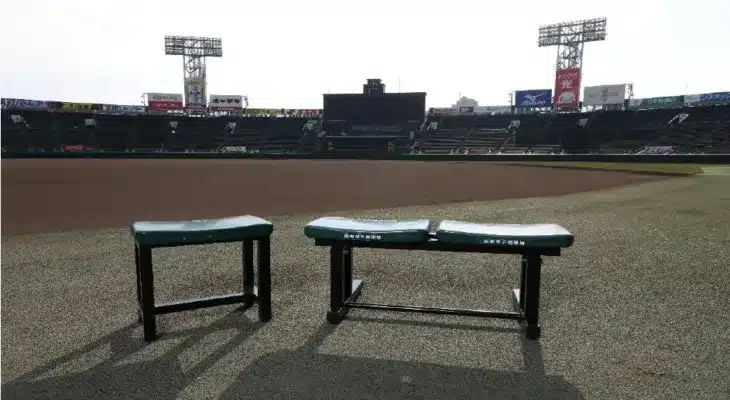 甲子園球場の熱気を日常に！歴史を刻むリユースベンチで、あなたの“推し活”をさらに深く！第98回選抜高校野球大会グッズも登場