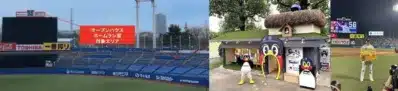 野球スタジアムでのプロモーション風景