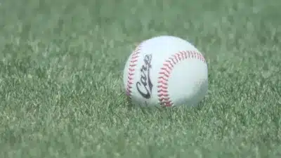 芝生の上に置かれたカープロゴ入り野球ボール