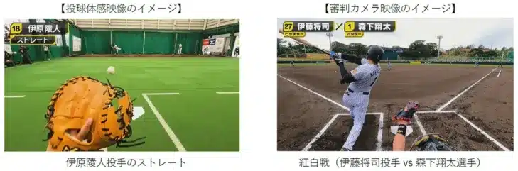 阪神タイガースの「推し」をもっと深く！甲子園歴史館で2026年版「投球体感」「審判カメラ」映像が公開！