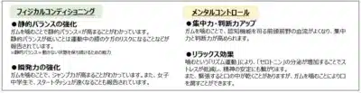 ガムを噛むことの身体的・精神的効果について解説