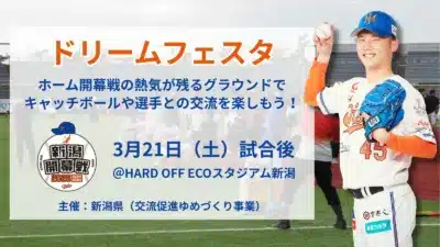 ドリームフェスタ