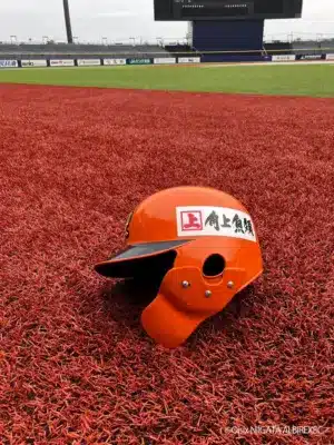 角上魚類のロゴが入ったオイシックス新潟アルビレックスBCのヘルメット