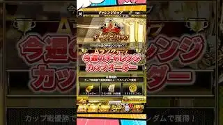 チャレンジカップオーダー【プロスピA】