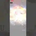 【当たりですか？】侍ジャパン ガチャスカウト ヤクルト・スワローズ プロスピa