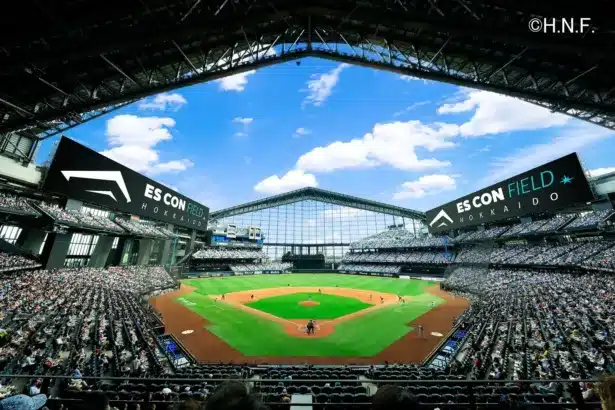 ファンの心を掴む!北海道日本ハムファイターズ応援プランで、特別な推し活体験を!