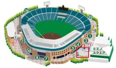 野球場,スタジアム,案内図,地図,施設,スポーツ,ミズノスクエア,俯瞰図,建物,グラウンド