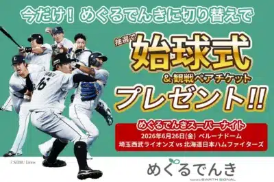 めぐるでんきスーパーナイト