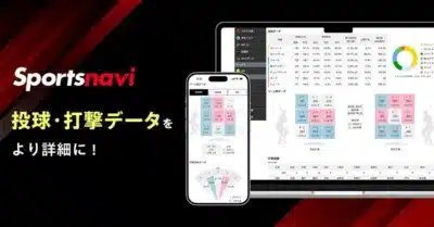 スポーツナビ 投球・打撃データを より詳細に！ ゾーン別データ 球種データ
