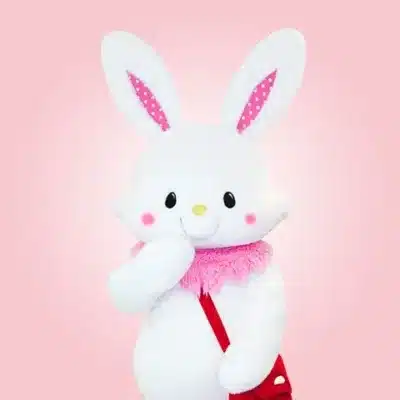 ウィッシュミーメル