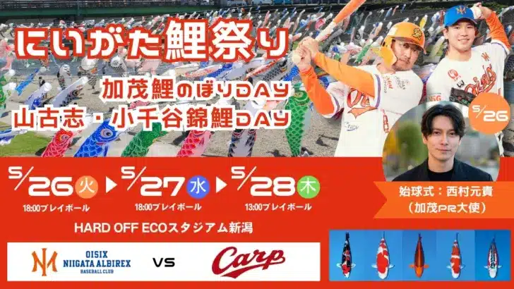 【オイシックス新潟】カープ戦で「にいがた鯉祭り」開催！鯉のぼり掲揚＆豪華錦鯉展示で球場が彩られる3日間