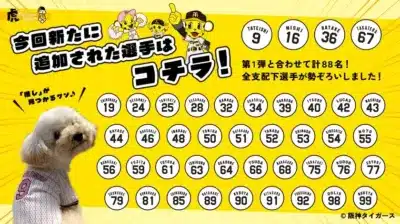 追加選手の一覧