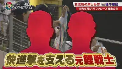 交流戦の楽しみ方 vs 猛牛軍団