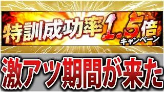 久々の登場！無課金初心者が絶対活用すべき神期間「特訓1.5倍」について徹底解説！【プロスピA】