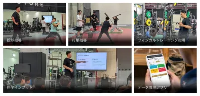 投球指導、打撃指導、フィジカルトレーニング指導、座学インプット
