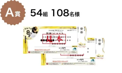 A賞 観戦チケット