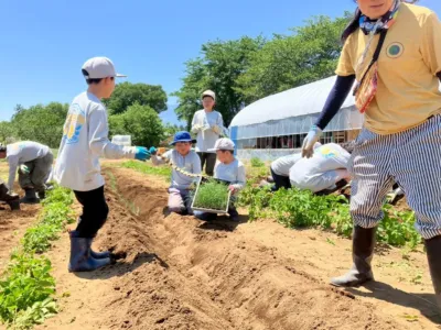 晴れた日に子供たちが大人と一緒に畑で農業体験をしている様子。苗を植えたり、苗箱を持ったりしており、熱心に作業に取り組んでいる。