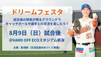 ドリームフェスタ告知