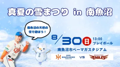 真夏の雪まつり in 南魚沼