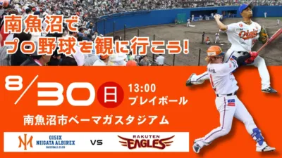 南魚沼でプロ野球を観に行こう!