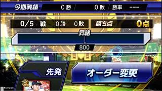 【無課金】無敗でプラチナ行けんの?!88年世代、独身、タクドラ男