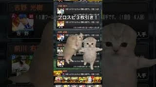千賀はマジで嬉しい！！#プロスピa #プロスピ #ねこ #千賀滉大 #プロスピガチャ