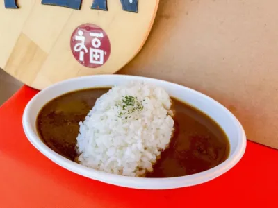 なみ福茶屋の愛がけ出汁カレー
